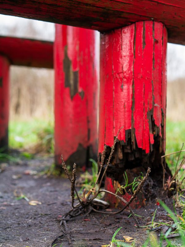 Decayed Wood Replacement