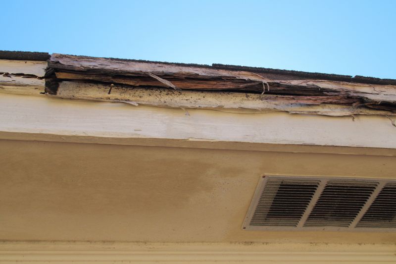 Termite Damage Repair Service detail