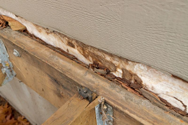 Wood Rot Repair detail