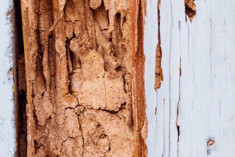 Contact About Wood Rot Repair