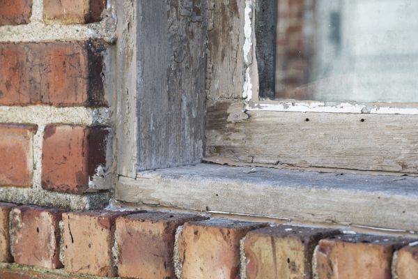 Decayed Wood Replacement in American Fork